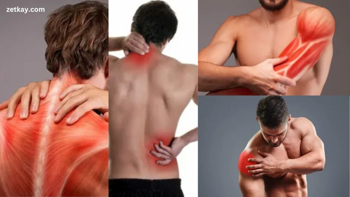 Muscle Pain