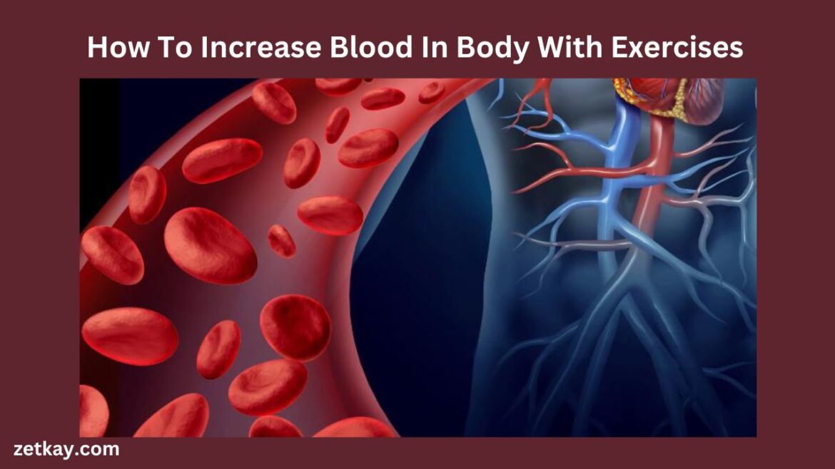 Increase Blood In Body