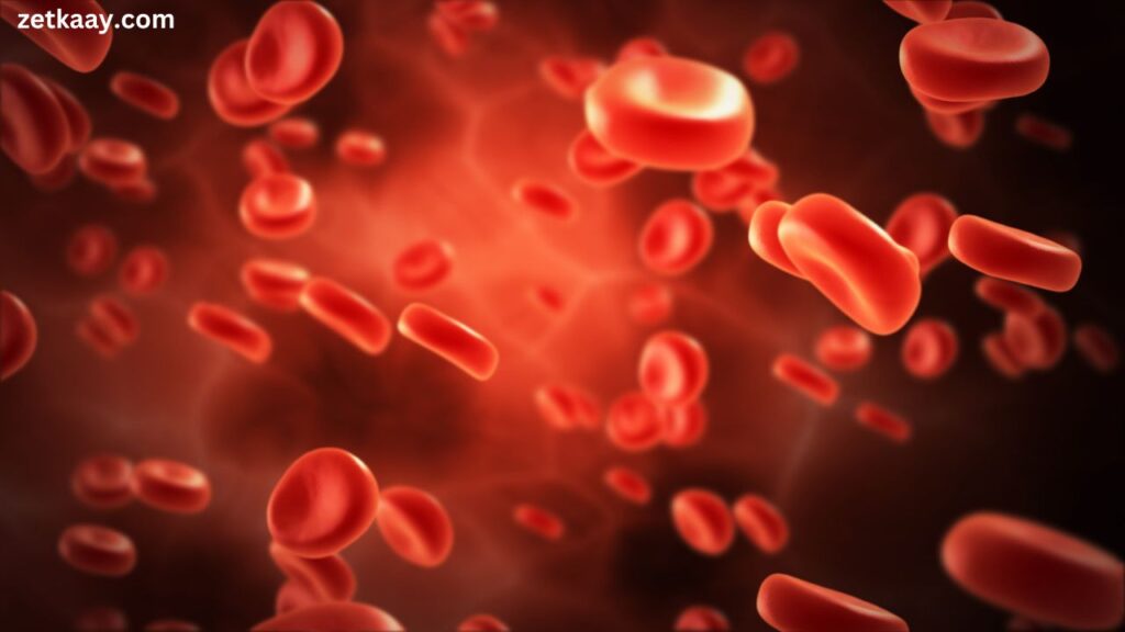 platelets