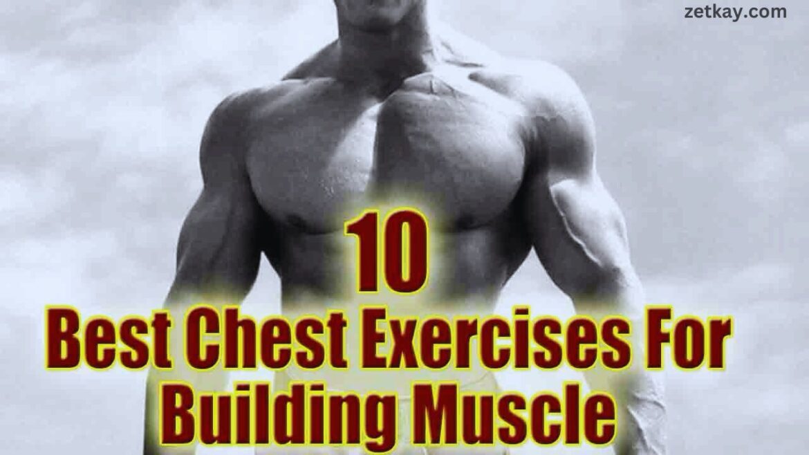 chest exercises