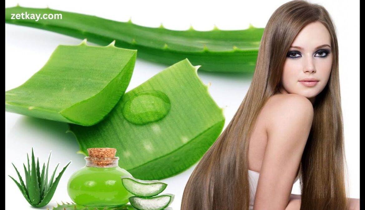 Aloe Vera for Hair Growth