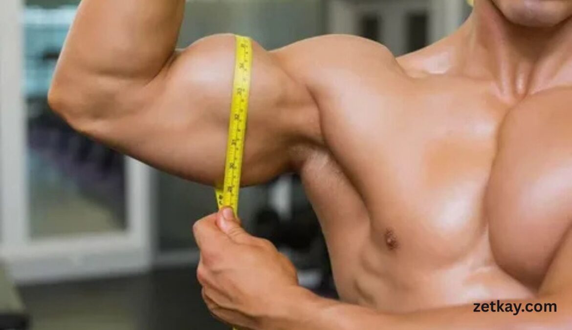 muscle strength