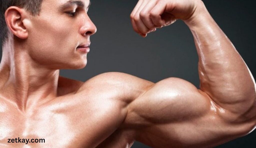 muscle strength