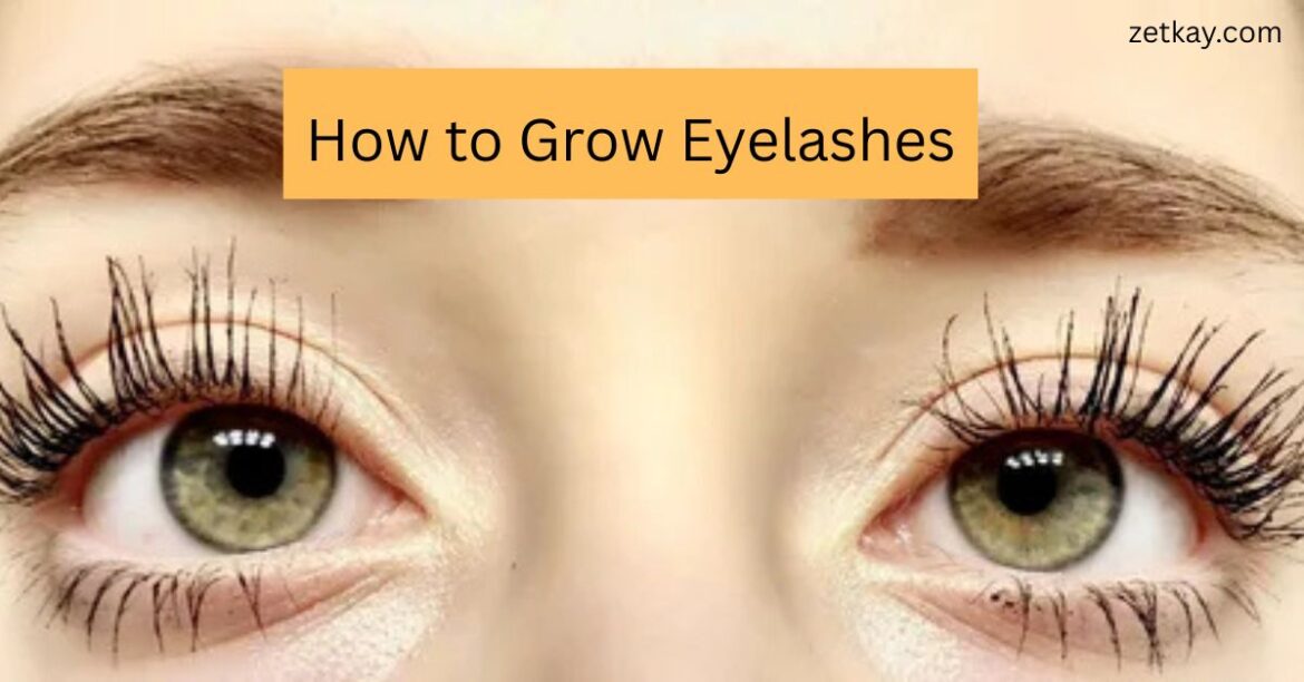How to Grow Eyelashes