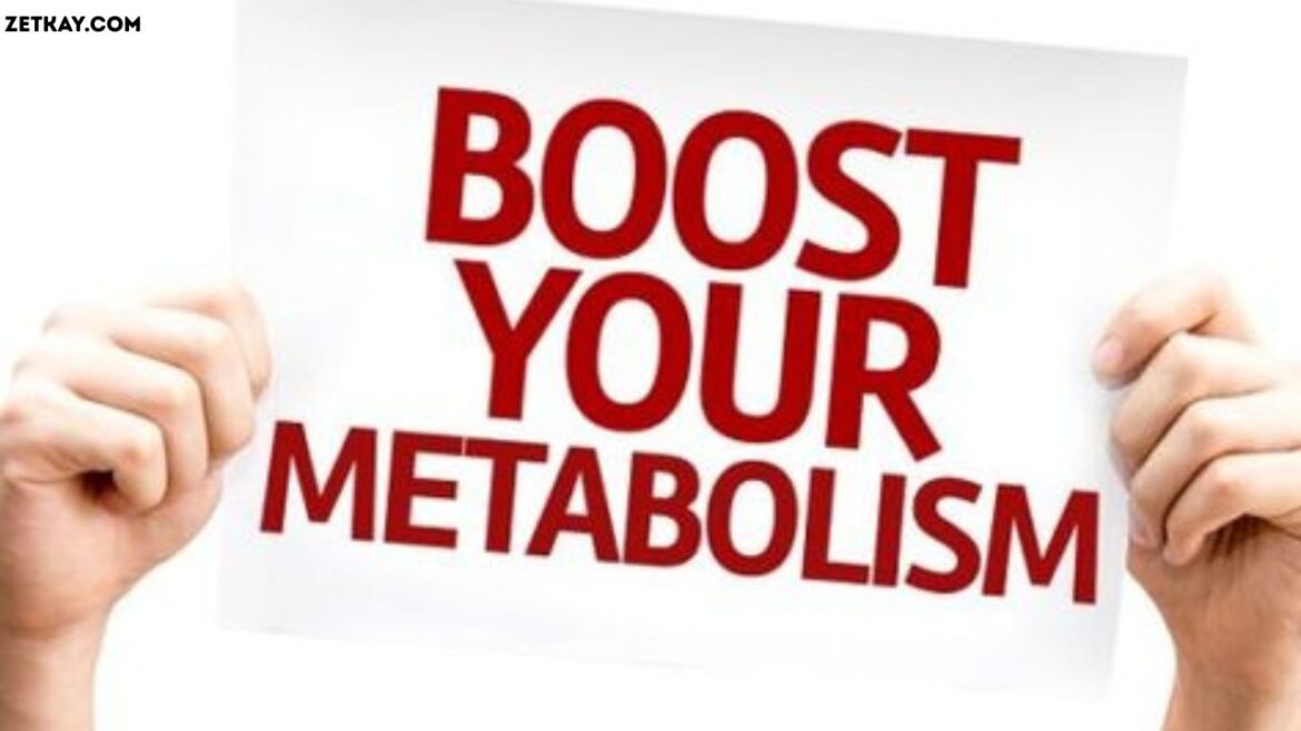 Metabolism